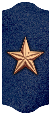 DARAY C 430 CP BL Star Copper Blue